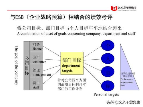 人力資源管理的全面提升——知名咨詢公司客戶案例解析