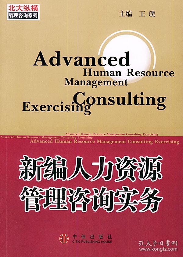 新編人力資源管理咨詢實務 現代企業必備的服務指南